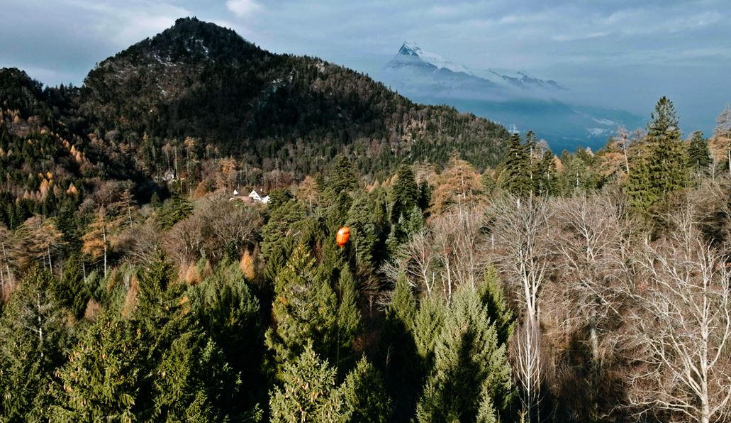 Dein Lebensretter in der Natur