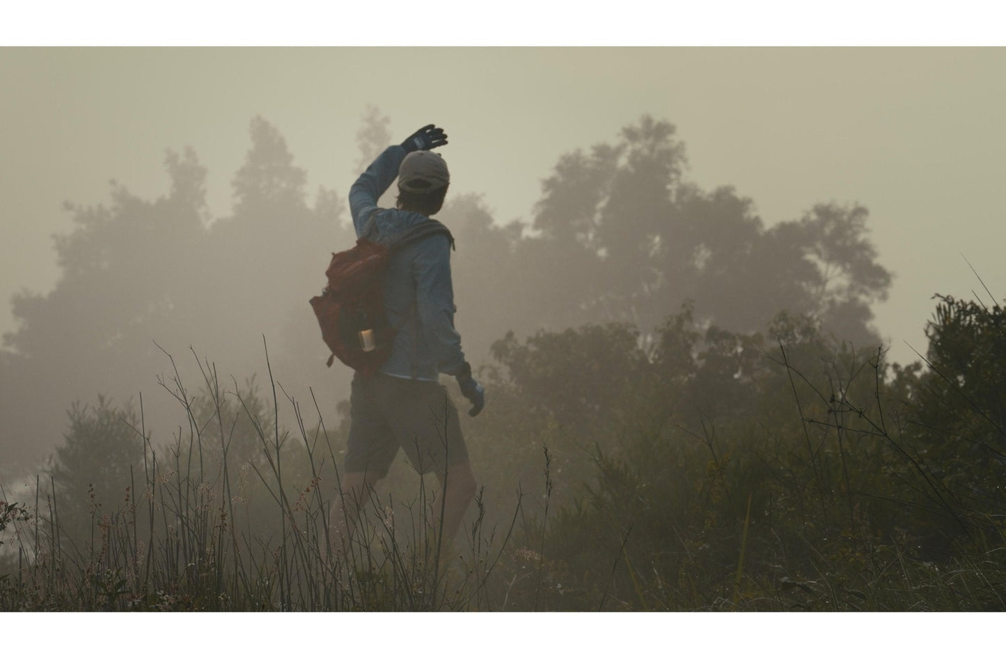 Mini Light with Tripod